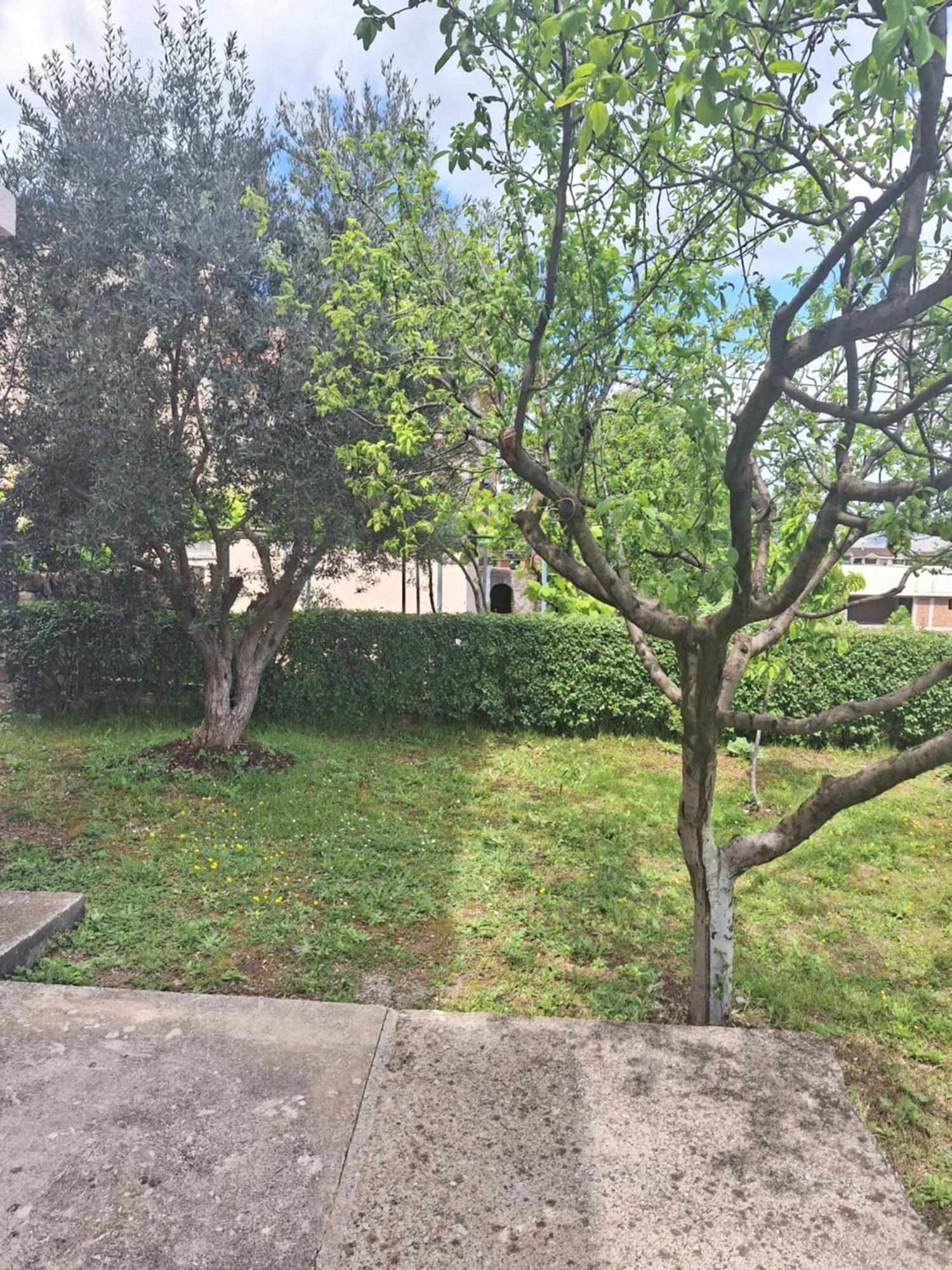 Apartmani Ruza Ποντγορίτσα Εξωτερικό φωτογραφία